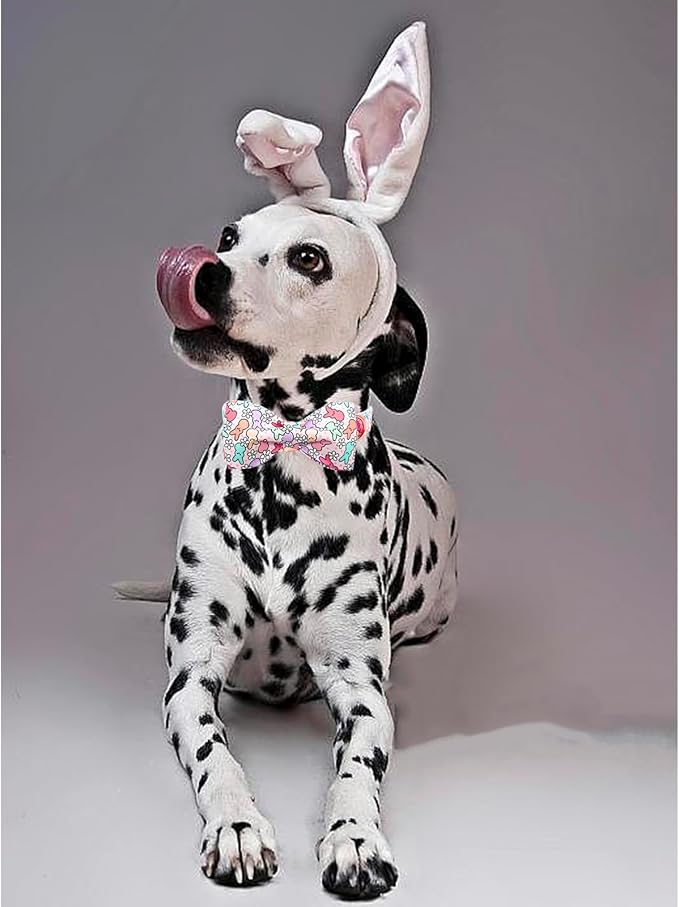 Lionheart Glory X-Small Dog & Rabbit Collar - Image 5