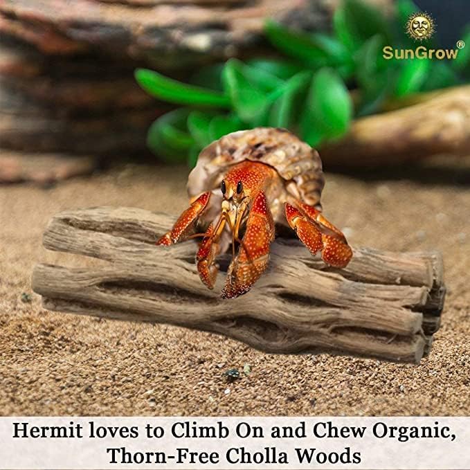SunGrow Hermit Crab Woods, Climbing Logs, Keep Hermies Busy and Active - Image 3