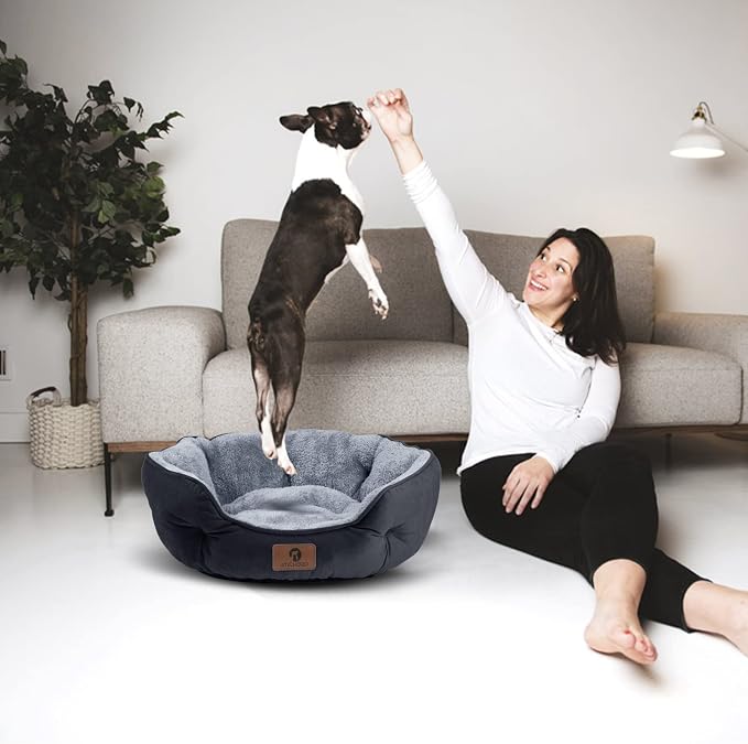 Asvin Medium Dog Bed for Medium Dogs, Large Cat Beds for Indoor Cats, Pet Bed - Image 5