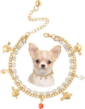 HOWWFALY Dog Collar and Cat Chain Necklace Stainless Steel Adjustable 18K Gold by HOWWFALY