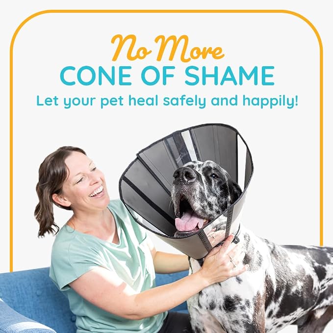 ZenPet Pet Recovery Cone E-Collar - Image 3