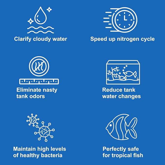Aquarium Stone for Natural Water Clarification and Odor Removal Featuring - Image 5