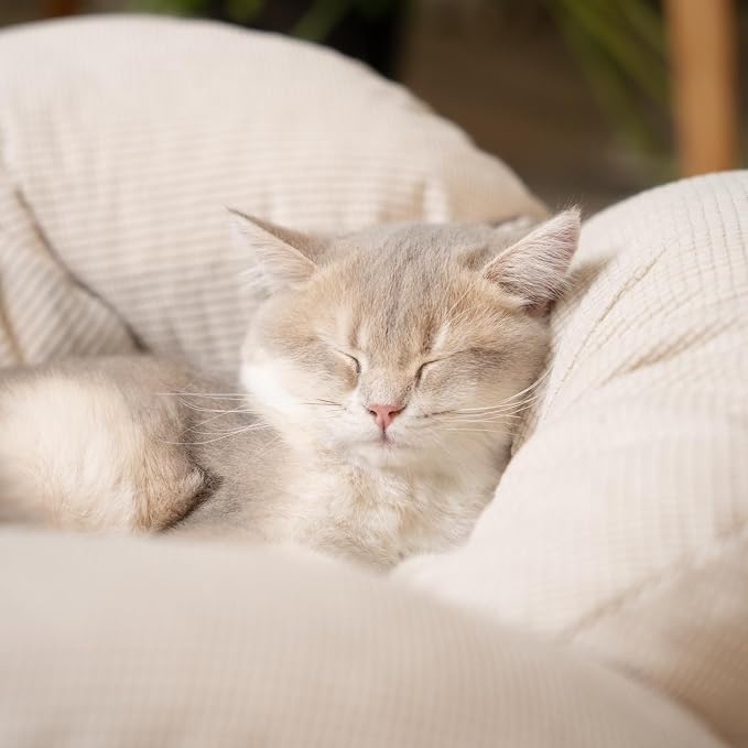 CHEERHOME PETS Elevated Cat Bed Wooden - Image 7
