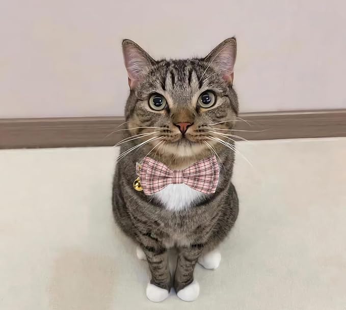 2 Pack Soft Cotton Cat Collars - Image 6