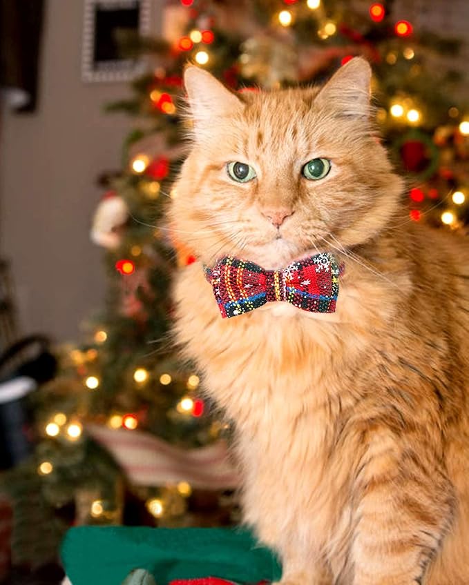 Joytale Upgraded Christmas Cat Collar - Image 8