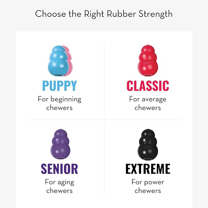 KONG Puppy - Natural Teething Rubber Chew Toy - Image 6
