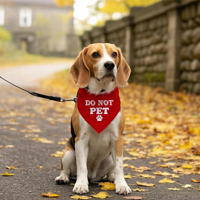 Do Not Pet Dog Bandana - Image 5