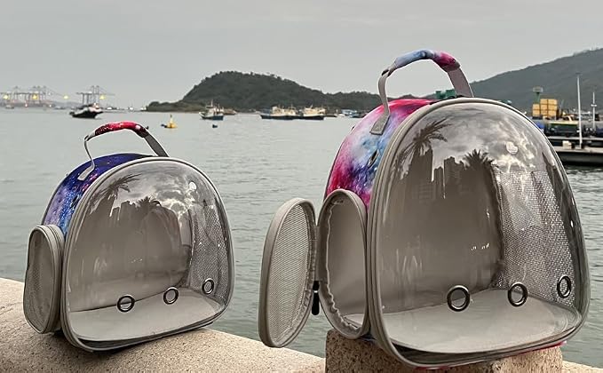 Guinea Pig Carrier Backpack, Bearded Dragon Backpack, Reptile Lizard Clear - Image 5