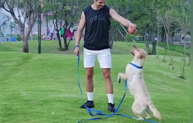 AMAGOOD Long Dog Leash for Training 15FT 20FT 30FT 50FT 100FT Long Dog Lead for - Image 5