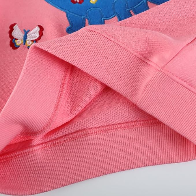 Toddler Baby Girls Cotton Sweater, Long Sleeve Crewneck Sweatshirt Pullover - Image 4