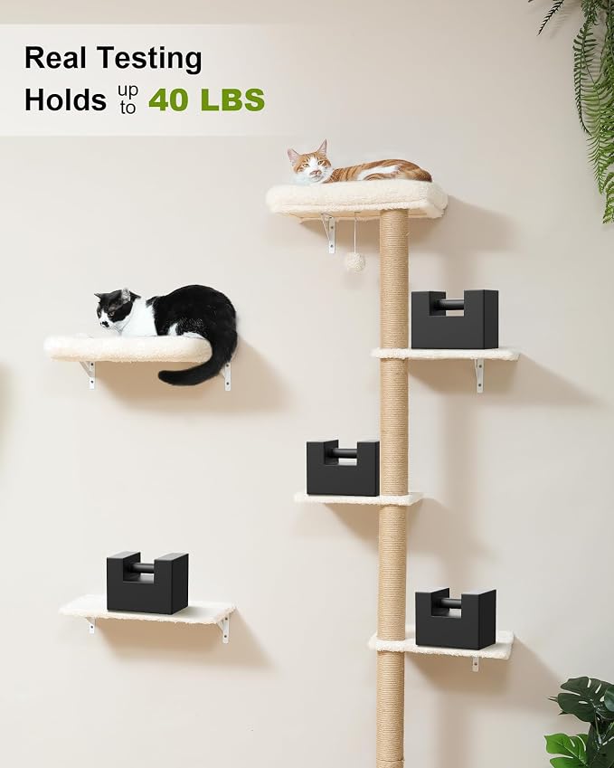 FUKUMARU Cat Wall Shelves, Stable Wall Mounted Cats Furniture Set, Kitten - Image 5