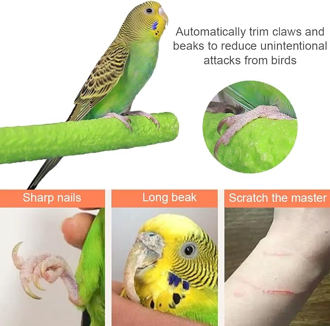 Hamiledyi 4 PCS Parrot Perch Stand Toy 7.9x0.8inch Bird Cage Perch Natural Paw - Image 5