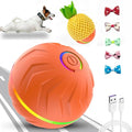 Valentines Day Gifts Interactive Dog Toys Dogs Ball, Moving Dog Toy by AUTRETY