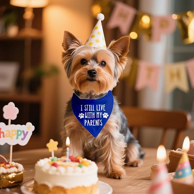 I Still Live with My Parents Blue Dog Bandana, Humor Gifts - Image 4