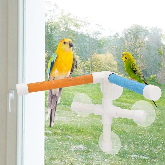 Hypeety Portable Suction Cup Bird Window and Shower Perch Toy - Image 5
