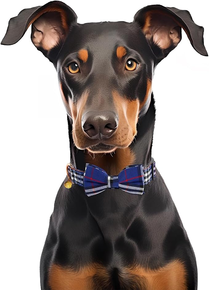 Yizepet Dog Collar with Bow Tie- Adjustable pet Collar - Image 6