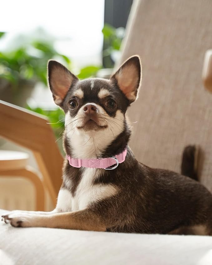 Dynmeow Soft and Breathable Cotton Dog Collar, Durable Adjustable Cute Female - Image 7