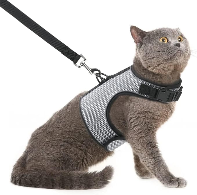 PUPTECK Soft Mesh Cat Vest Harness and Leash Set Puppy Padded Pet Harnesses by PUPTECK