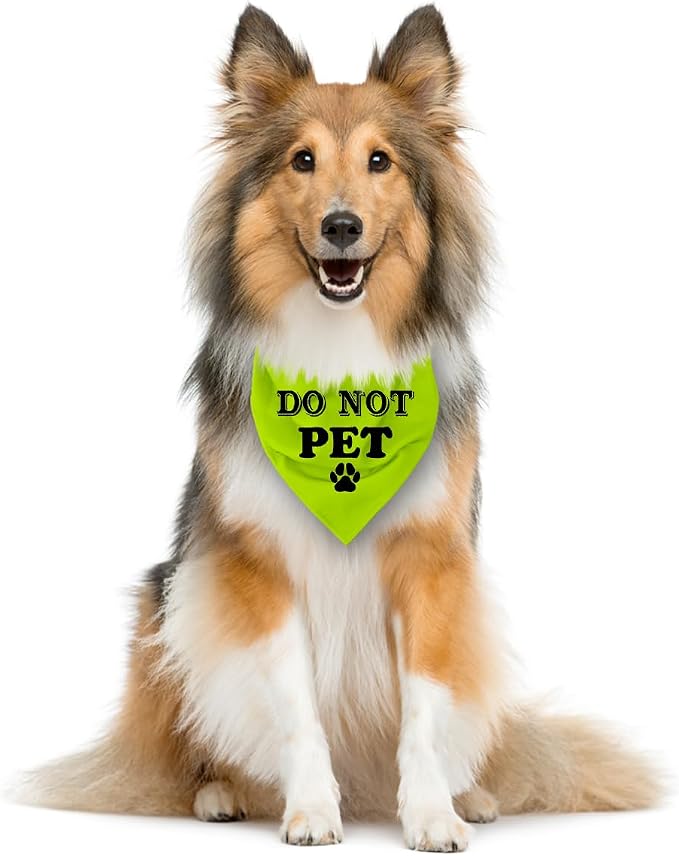 Do Not Pet Dog Bandana, Fluorescent Yellow Dog Bandana, Funny Cute Pet Triangle - Image 3