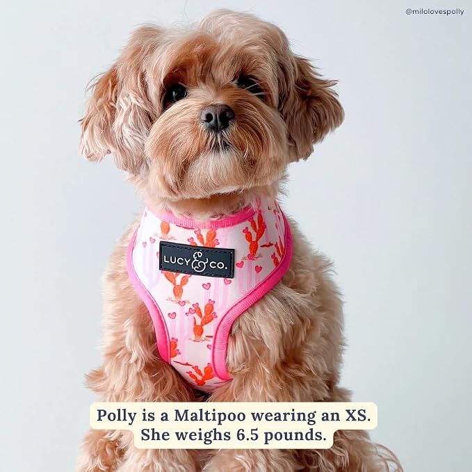 Lucy & Co. Cute Reversible Dog Harness Walking Halter - Image 10
