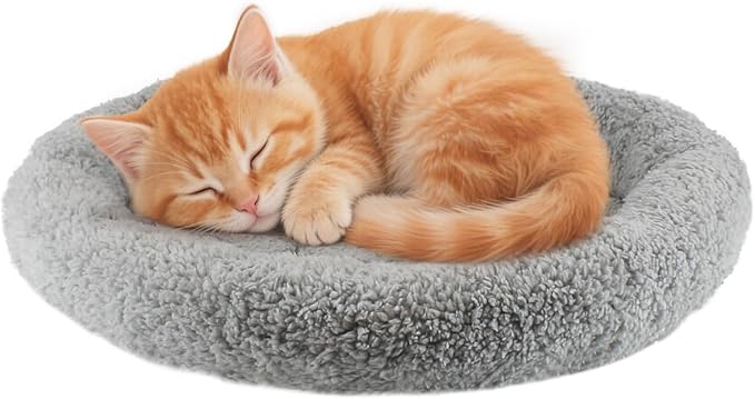LESYPET Cat Bed for Indoor Cats, Small Pet Bed Curl Sleep Cushion by LESYPET