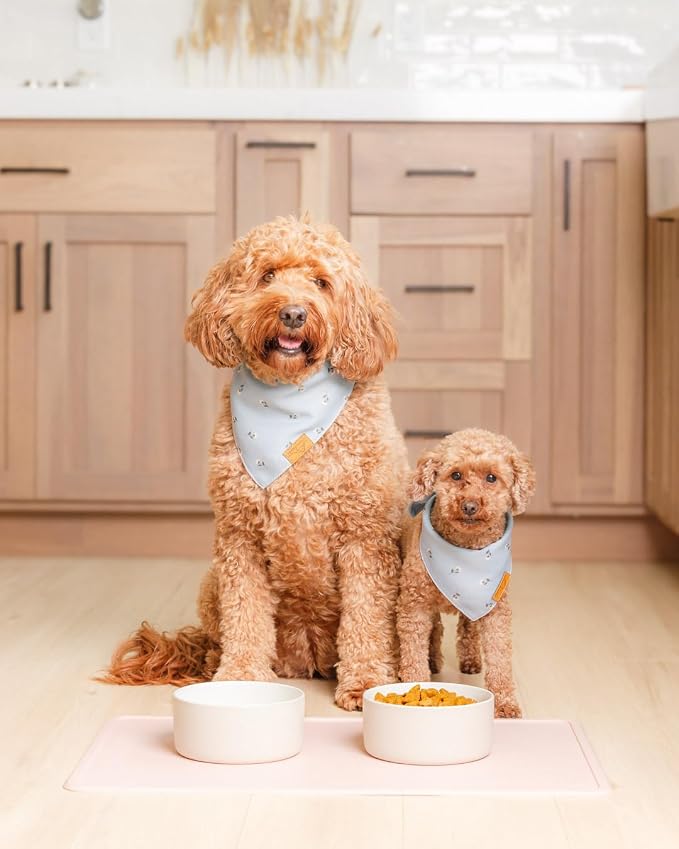 Remy+Roo Peony Silicone Dog Food Mat - Image 2