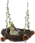 Natural Rattan Nest Small Medium Large Bird Swing by Unknown