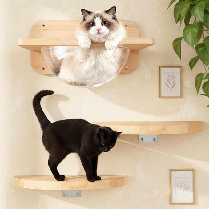 3 Pcs Cat Wall Shelves Set, Thicken Wooden Transparent Capsule Kitten Shelves by Yalikop