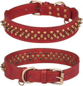 Spiked Dog Collar Soft Pu Leather Mushrooms Rivet Spike Studded Puppy by Unknown
