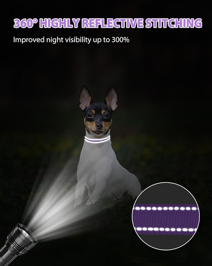 Joytale Small Dog Collar, Reflective and Adjustable Nylon Collar - Image 5