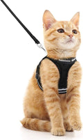 rabbitgoo Cat Harness and Leash Set by rabbitgoo