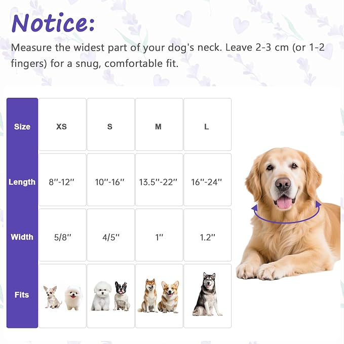 Dog Collar for Medium Dogs, Spring Purple Dog Collars - Image 2