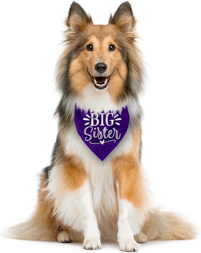 Big Sister Dog Bandanas, Pet Scarf Accessories, Pet Triangle Scarf, Dogs Bandana - Image 4