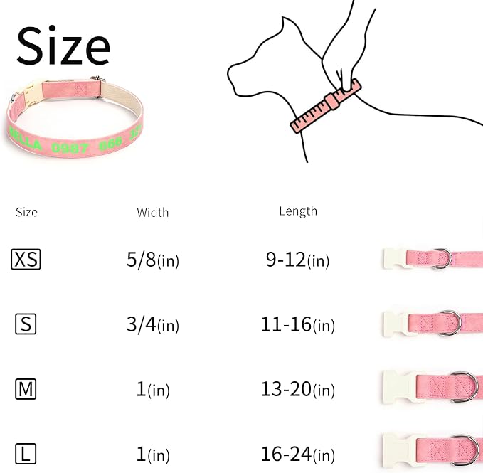 DOG WORLD Custom Fluorescent Dog Collar - Image 9