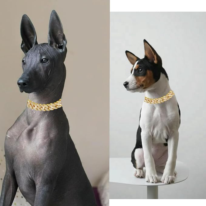 Diamond Cuban Style Dog Chain Collar Bling Gold Walking Necklace - Image 4