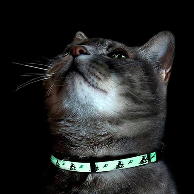 Pawtitas Halloween Cat Collars for Cats Adjustable Collar Glow in The Dark - Image 7