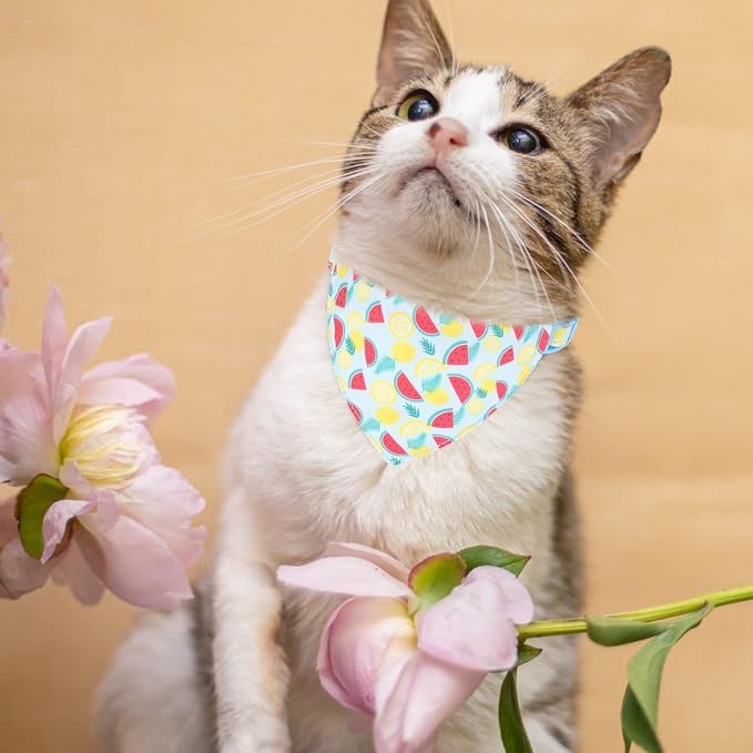 Breakaway Cat Collars with Bell & Cute Pendants - Image 7