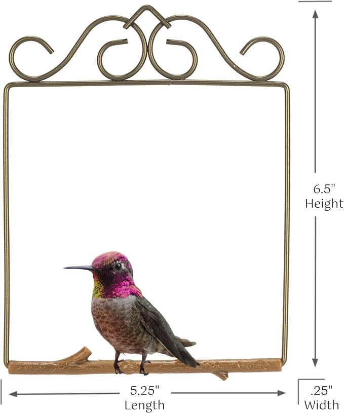 The Original Hummingbird Swing for Outdoors - Image 5