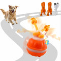 Interactive Dog Toys，Peppy Pet Ball by Unknown