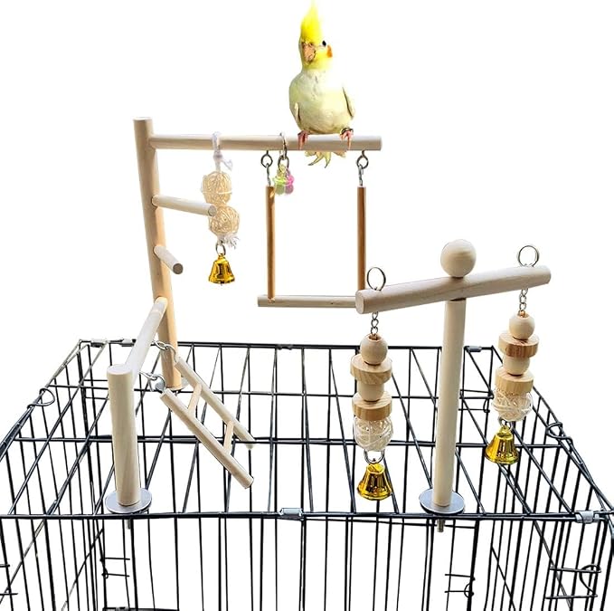 PINVNBY Bird Playground Parrot Play Gym Parakeet Cage Play Stand Wooden Perches by PINVNBY