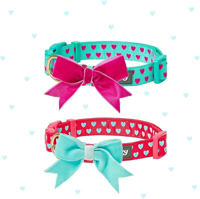 Blueberry Pet Valentines Day Dog Collar - Image 6