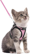 rabbitgoo Cat Harness and Leash Set by rabbitgoo