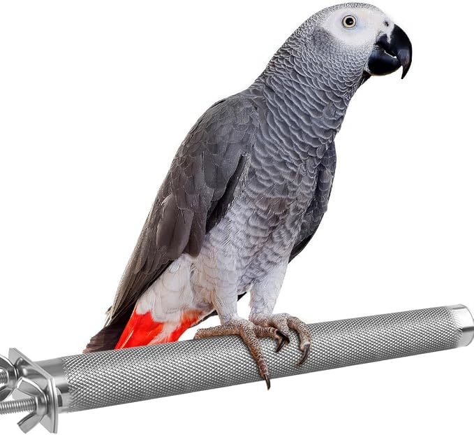 KATUMO Bird Perch by KATUMO