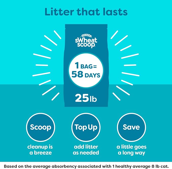 sWheat Scoop Natural Wheat Cat Litter, Fast Clumping - Image 6