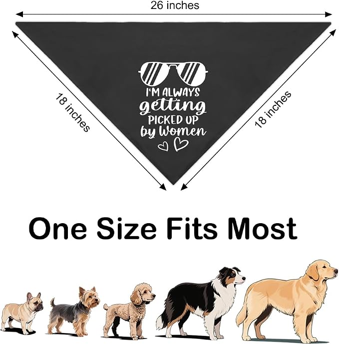 I'm Always Getting Picked Up by Women Black Dog Bandana, Christmas Birthday - Image 2