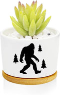 Window Garden Bigfoot Planter Pots, Bigfoot Gifts by Databa