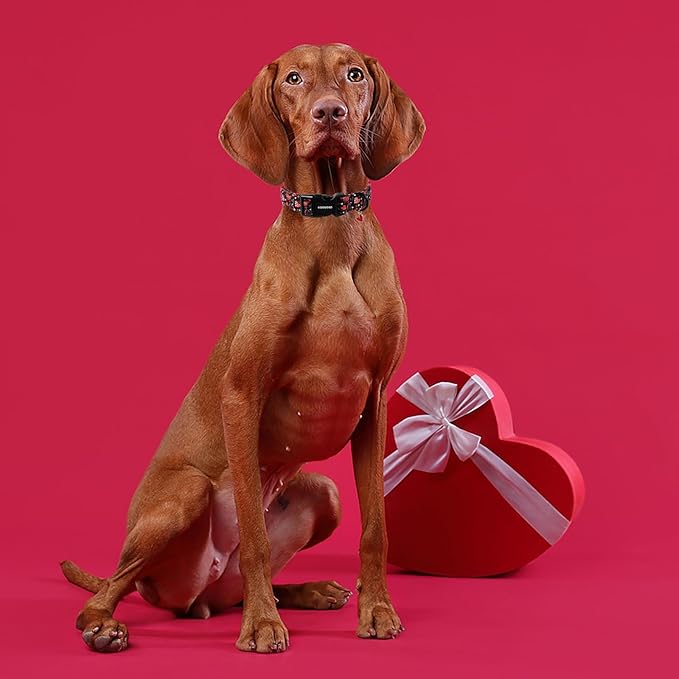 DOGWONG Valentine's Day Dog Collar - Image 5