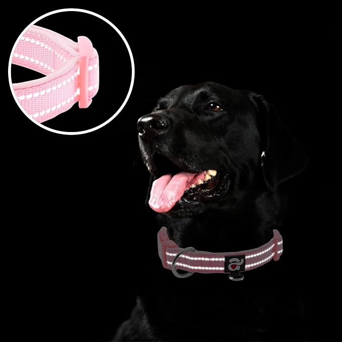 azuza Reflective Dog Collar, Soft Neoprene Padded Pet Collar - Image 4