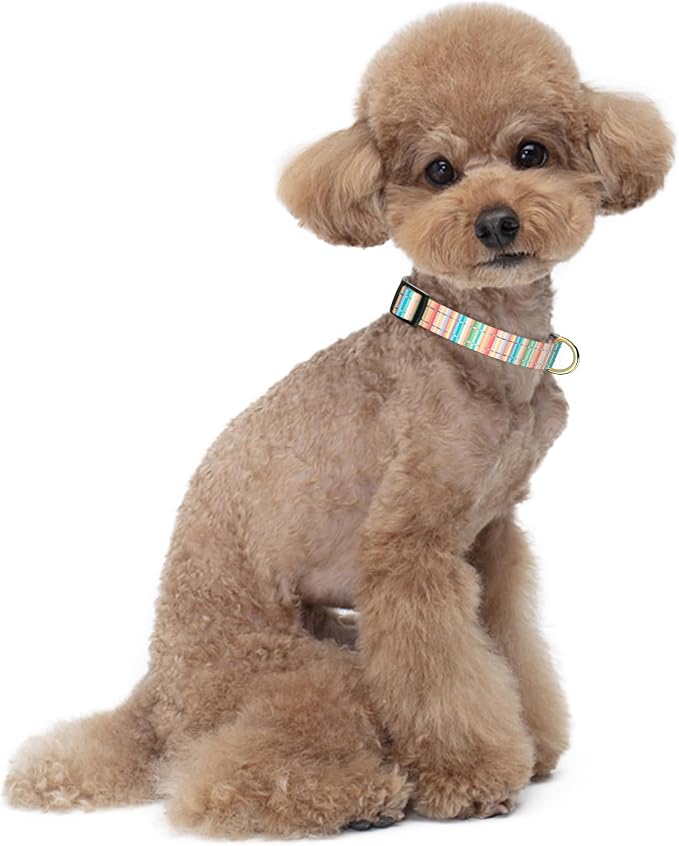Reflective Dog Collar, Cute Dog Collar - Image 2