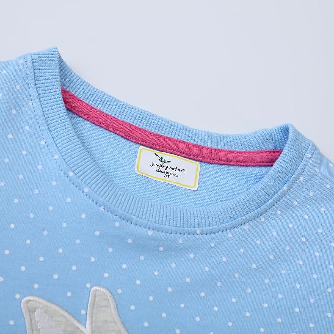 Toddler Baby Girls Cotton Sweater, Long Sleeve Crewneck Sweatshirt Pullover - Image 5